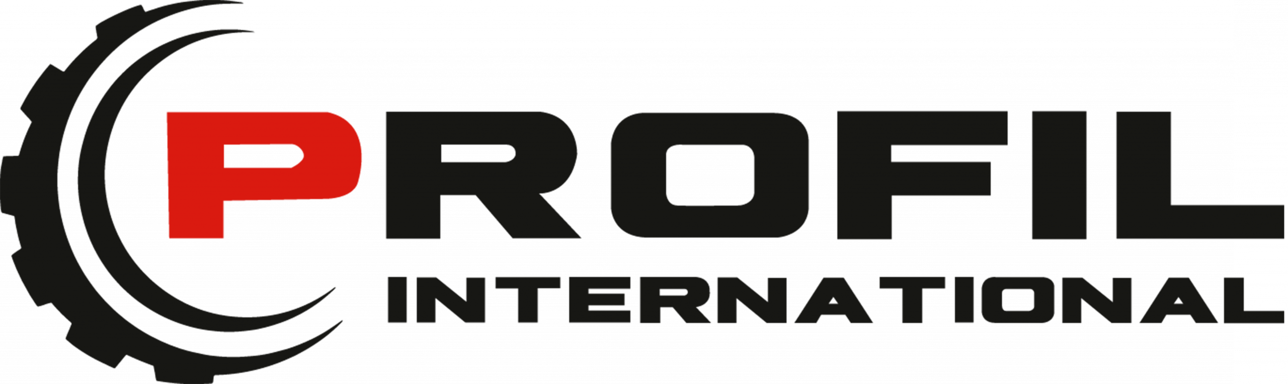 Logo der Übungsfirma Profil International SE
